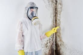 Best Residential Mold Inspection & Testing  in Crockett, CA